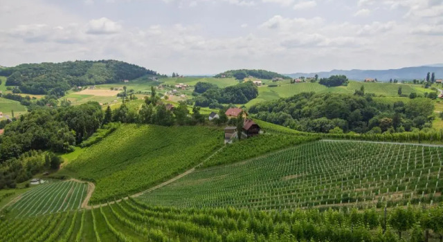 Люкс Standard Weinhotel Maitz Wolfgang