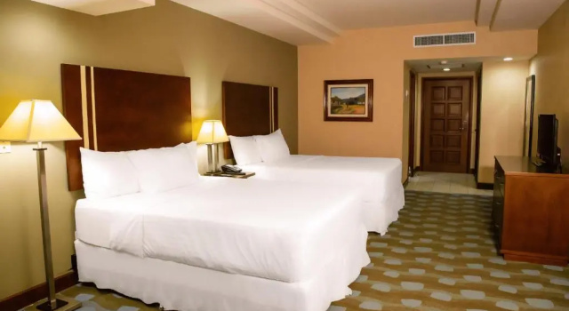 Двухместный номер Standard Hotel Plaza Juan Carlos