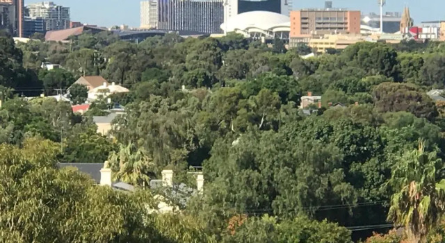 Номер Standard Tashas Apartments on Warwick