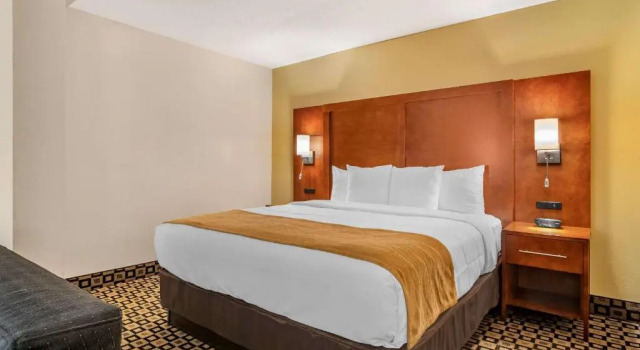 Одноместный люкс Comfort Inn & Suites Athens North