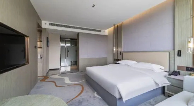 Люкс Executive xizang hotel  （Norbulingka shop)