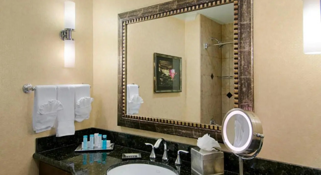 Номер Standard с красивым видом из окна Hilton Dallas/Rockwall Lakefront Hotel