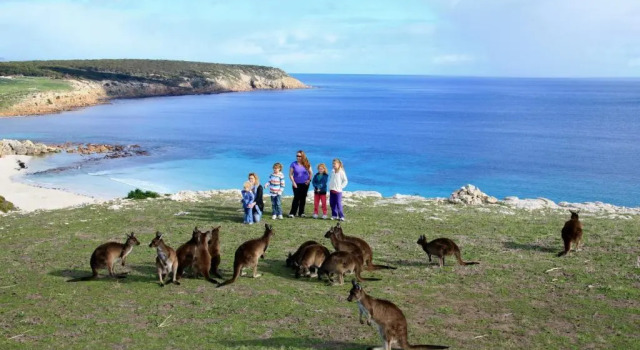 Waves & Wildlife Cottages Kangaroo Island, Reserva ahora Hotel Cygnet River Australia Meridional