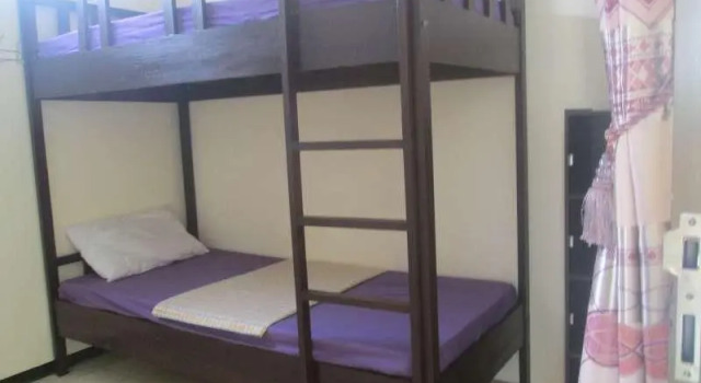 Cama en dormitorio compartido (dormitorio compartido masculino) Tya Backpacker