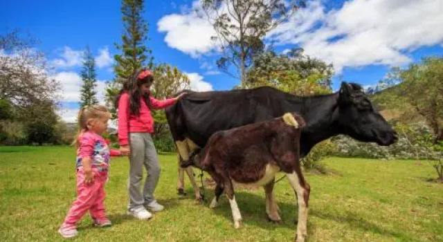 Hacienda Manteles, Varaa Hotelli Baños Tungurahua