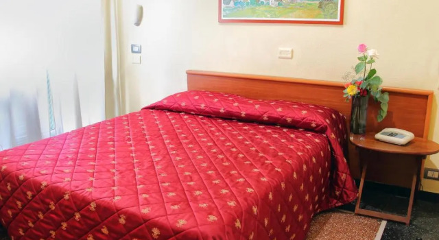 Одноместный номер Standard Hotel Helvetia