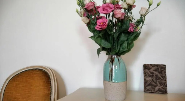 Полулюкс B&B Huis Willaeys