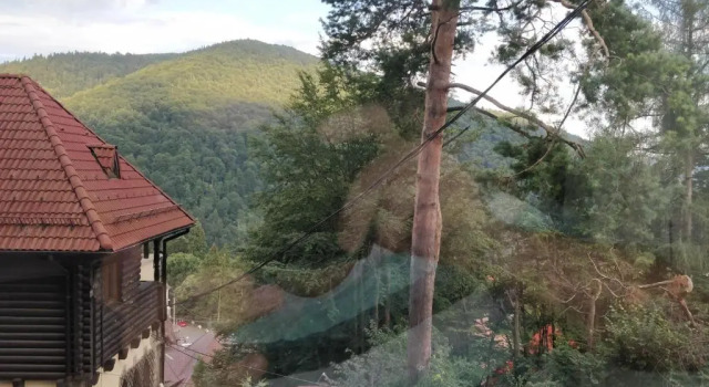 Номер Standard Casa Adina