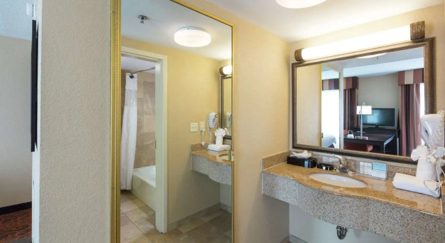 Люкс Hampton Inn & Suites Jacksonville-Airport