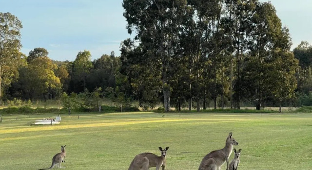 Коттедж Woolshed Hill Estate