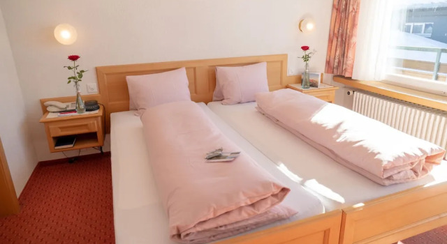 Двухместный номер Economy с видом на горы Hotel Stumps Alpenrose