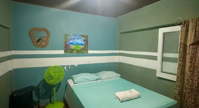 Номер Economy Green Hostel
