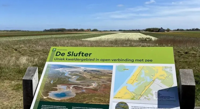 Номер Standard Chalet on Texel Near Beach and Forest