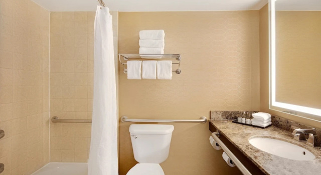 Четырёхместный номер Standard с балконом Sheraton Orlando North