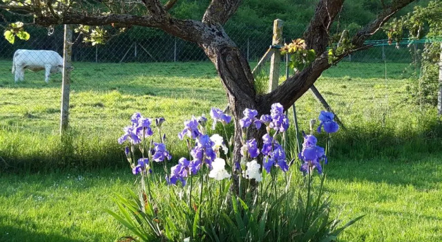 Номер Standard Maison DHotes Les Coquelicots