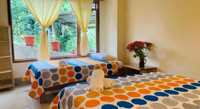 Номер Standard La Casa de Cecilia Mindo