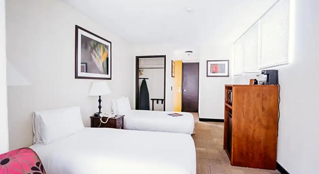 Номер Standard Stay Hotel Waikiki