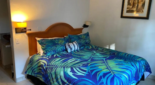 Villa Rosa Inn, Забронировать Вилла Отели Санта-Барбара с бассейном, рядом с Brooks Institute of Photography, Бассейн