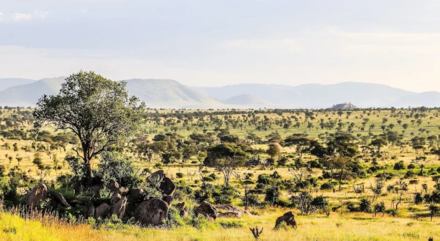 Двухместный номер Horizon Отель Four Seasons Safari Lodge Serengeti