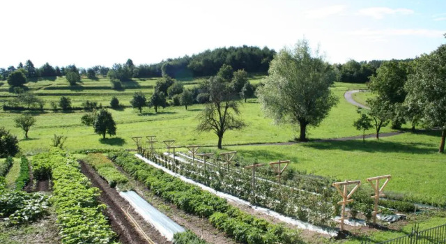 Двухместный номер Standard с видом на горы Agriturismo Florandonole