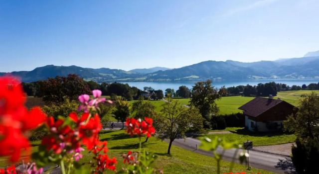 Номер Standard Hotel Haberl - Attersee