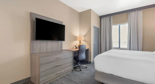 Двухместный номер Standard Pestana Orlando Suites - Lake Buena Vista