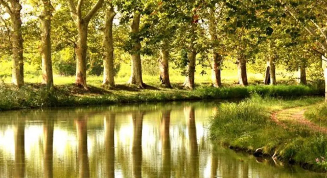 MAS DES VIGNES - View Cité de Carcassonne, Book Hotel Hotels in Carcassonne with a Pool, Swimming Pool