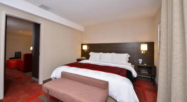 Suite Radisson Hotel Madison