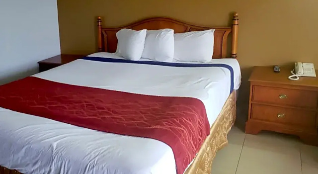 Номер Standard Hotel McGhee Tyson Airport