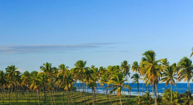 Трёхместный номер Standard Vivá Porto de Galinhas Resort