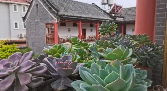 MangShi LiangJin homestay, Buchen Sie Hotel Hotels in Yunnan mit Parkplatz, Parkplätze