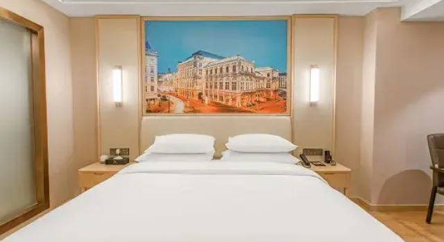 Люкс Vienna International Hotel (Pingxiang Yuhu Road Branch)