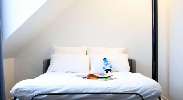 Семейный номер Executive Novotel Lille Centre Grand Place