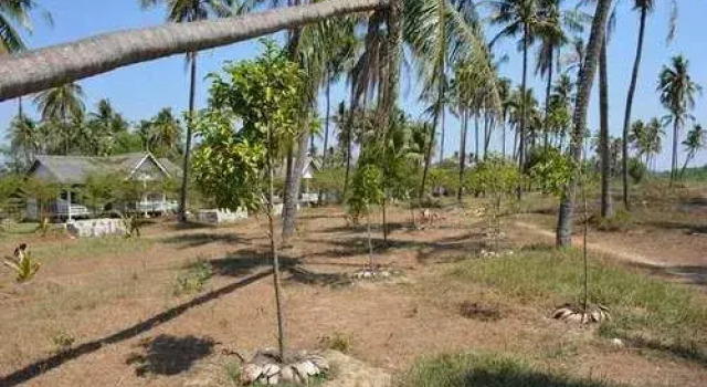 Orchid Adventure Shore Resort, Prenota Resort Letkhokekone Myanmar