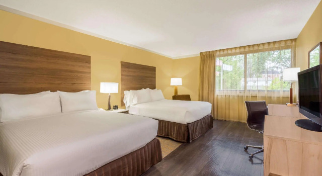 Четырёхместный номер Standard Wyndham Garden Washington DC North