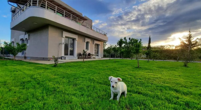 Hilltop Hideaway, Foglalás Szálloda Elbasan Elbasan County