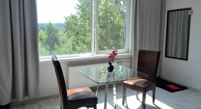Апартаменты с красивым видом из окна Luminous Apartment in Jurmala
