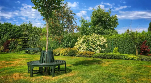 De Zolder, Prenota Hotel Horst North-Limburg