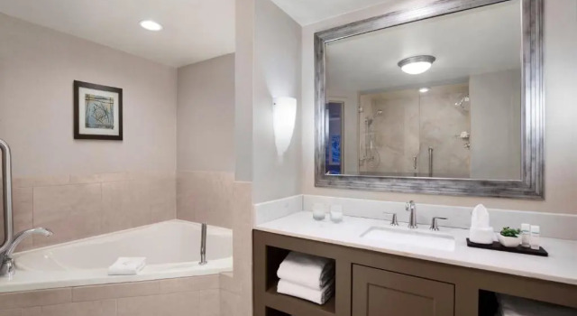 Люкс с красивым видом из окна Embassy Suites by Hilton Fort Worth Downtown