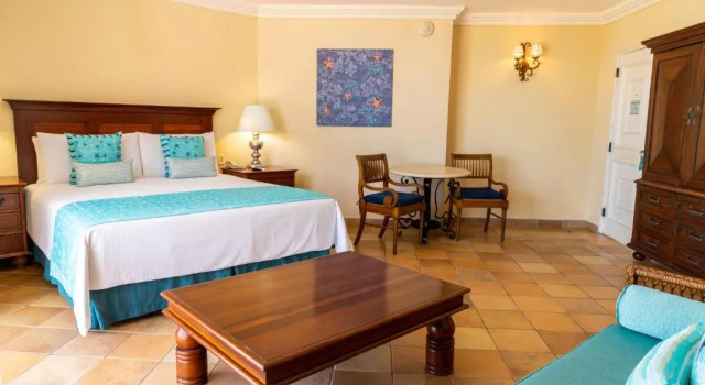 Двухместный номер Standard с видом на сад Pierre Mundo Imperial Riviera Diamante Acapulco