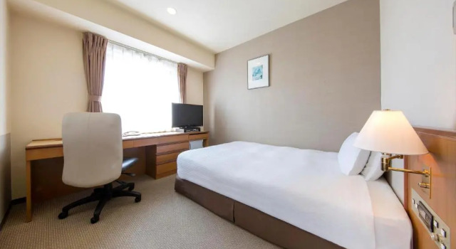 Одноместный номер Standard Rembrandt Hotel Tokyo-Machida