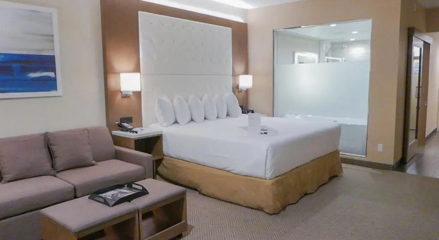 Двухместный люкс Wyndham Anaheim