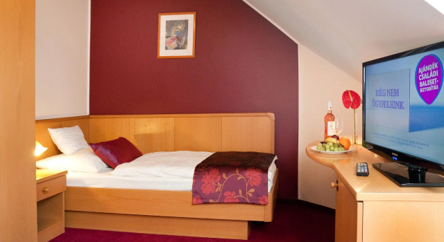Одноместный номер Standard Hotel Kálvária Superior