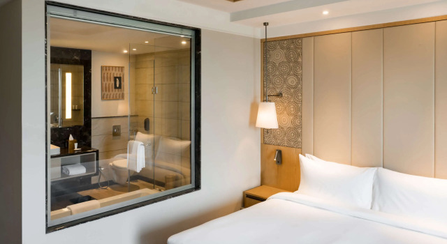Полулюкс Radisson Bhopal