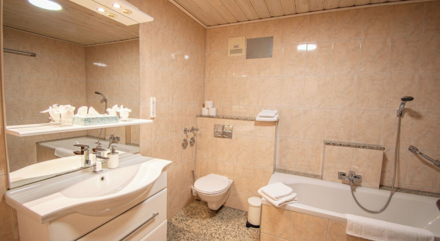 Двухместный номер Standard Hotel und Restaurant Nehrener Hof
