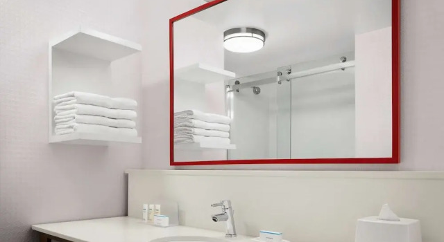 Двухместная Studio Suite Hampton Inn & Suites Charlotte Steele Creek Road, NC