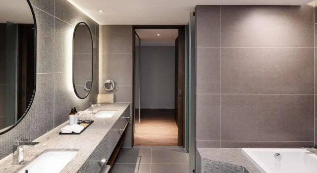 Полулюкс Mercure Ambassador Seoul Magok