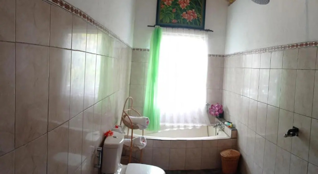 Номер Deluxe Ananda JJ Ubud Resort & Spa