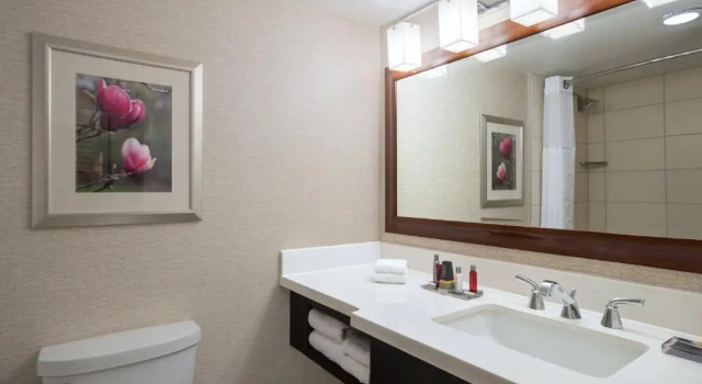 Четырёхместный номер Standard с балконом Atlanta Marriott Perimeter Center