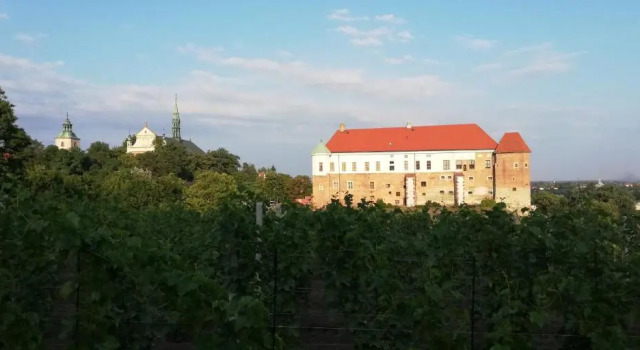 Апартаменты Apartament Przy Długosza